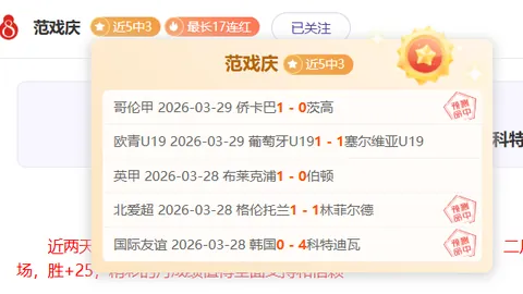 大乐透期号专家推荐：阵容调整挑战战术智慧