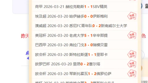 大乐透期号专家推荐：布伦特福德vs西汉姆联质合分析